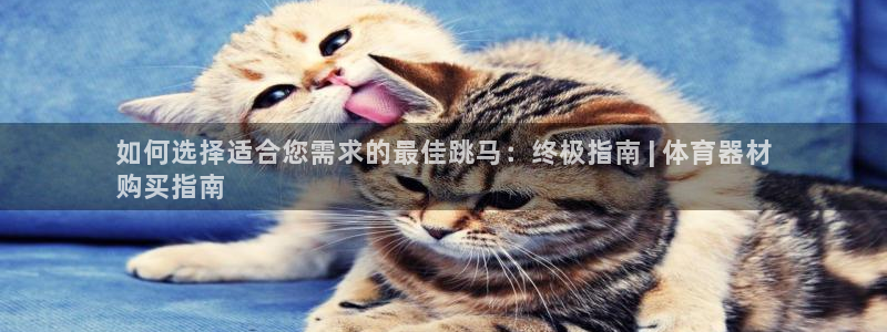 富联集团做什么的呀：如何选择适合您需求的最佳跳马：终