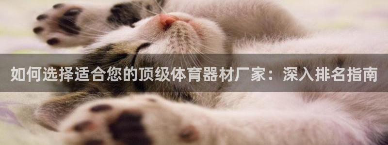 富联机械：如何选择适合您的顶级体育器材厂家：深入排名