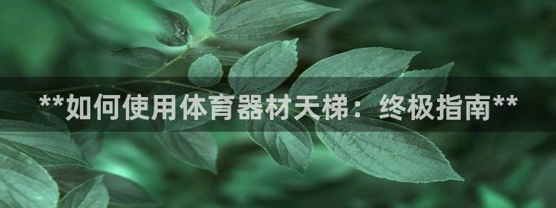 富联娱乐是什么时候开的股票
