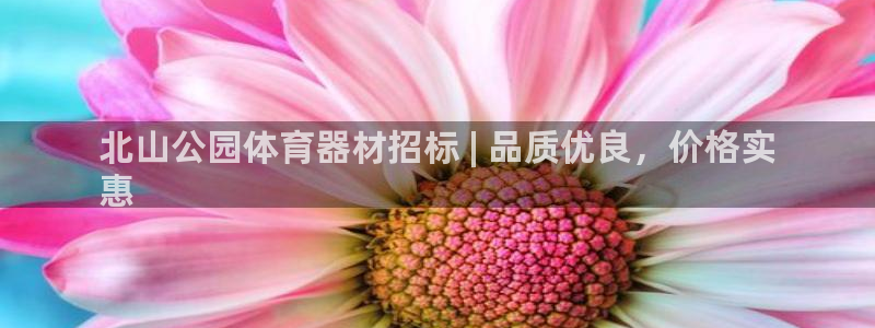 富联是什么意思网络用语