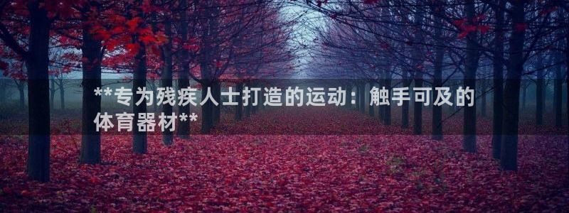 富联官方网站首页：**专为残疾人士打造的运动：触手可