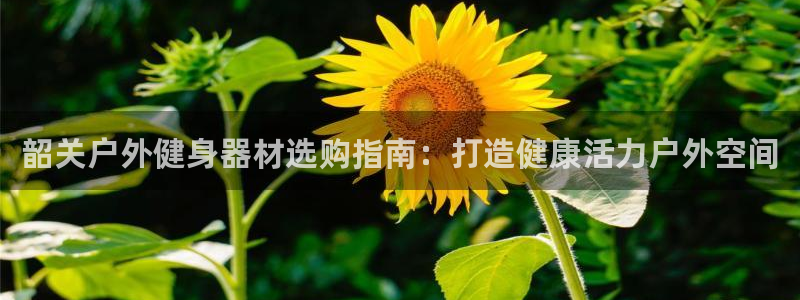 富联最新股价