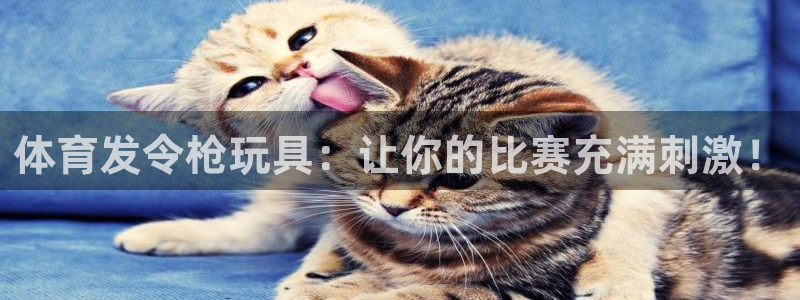 富联申购上市价格预测最新：体育发令枪玩具：让你的比赛