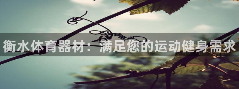 富联娱乐马 411O31 娱乐：衡水体育器材：满足您