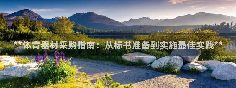 富联集团做什么的：**体育器材采购指南：从标书准备到