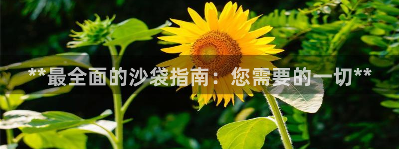 富联平台李 411O31 富联