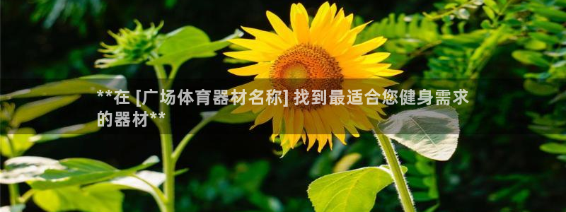 富联平台半7O777：**在 [广场体育器材名称] 