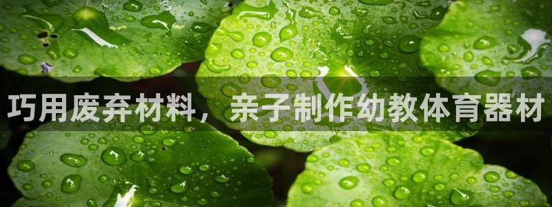 富联娱乐登录注册入口官网网址是什么：巧用废弃材料，亲