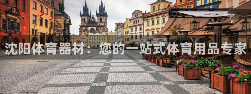 富联娱乐股东：沈阳体育器材：您的一站式体育用品专家