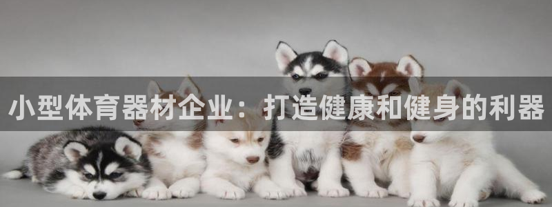 富联科技上市了吗今天：小型体育器材企业：打造健康和健