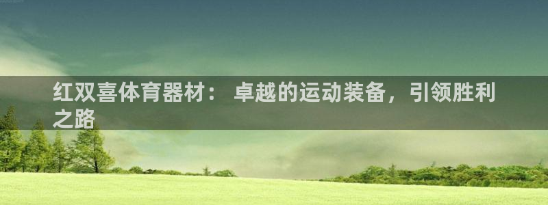 富联申购上市价格预测表：红双喜体育器材： 卓越的运动