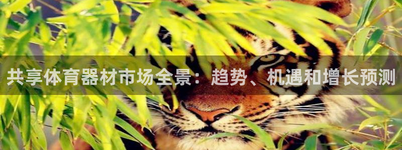 富联公寓租房怎么样：共享体育器材市场全景：趋势、机遇