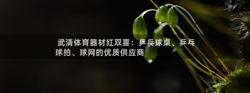 富联平台社7O777： 武清体育器材红双喜：乒乓球桌