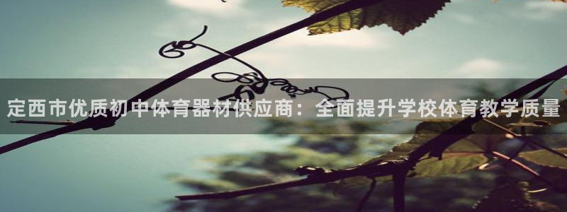 富联平台推 411031 富联：定西市优质初中体育器