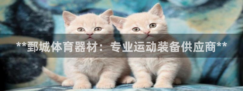 富联娱乐测速地址是什么：**鄄城体育器材：专业运动装