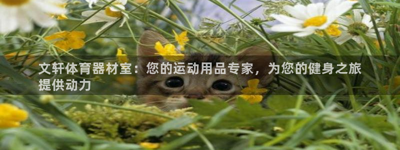 富联娱乐客户端app下载服务器失败怎么办：文轩体育器