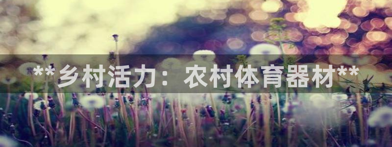 富联集团最新消息：**乡村活力：农村体育器材**