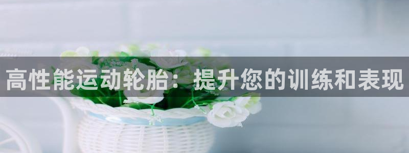 富联娱乐客服微信：高性能运动轮胎：提升您的训练和表现