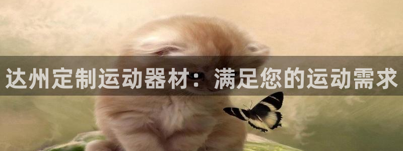 富联娱乐登录注册入口官网：达州定制运动器材：满足您的