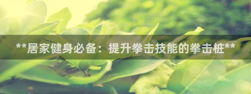 富联娱乐平台是什么平台：**居家健身必备：提升拳击技