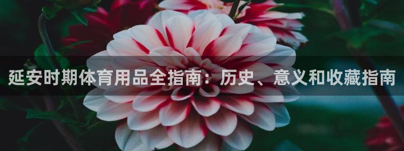 富联官方网站入口查询网址：延安时期体育用品全指南：历