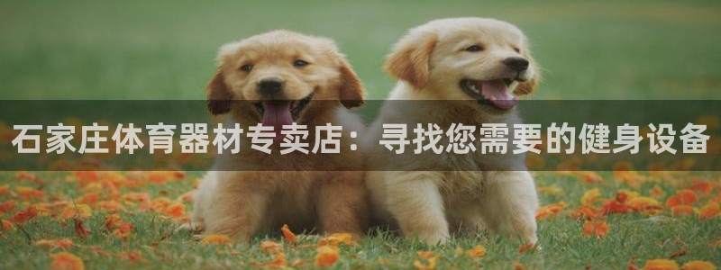富联平台登录入口官网：石家庄体育器材专卖店：寻找您需