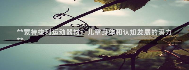 富联娱乐官方网站入口：**蒙特梭利运动器材：儿童身体