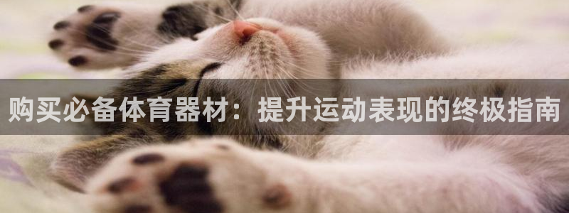 香港富联集团：购买必备体育器材：提升运动表现的终极指南