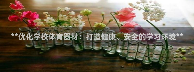 富联平台飞 411o31 富联：**优化学校体育器材：打造健