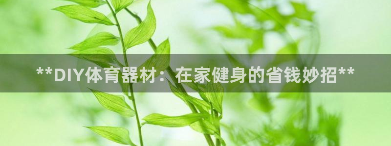 富联物业：**DIY体育器材：在家健身的省钱妙招**