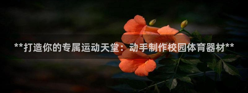 富联娱乐老板是谁：**打造你的专属运动天堂：动手制作