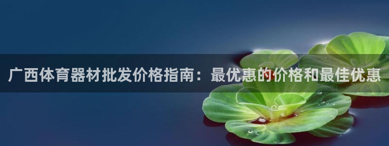富联娱乐平台是什么软件：广西体育器材批发价格指南：最