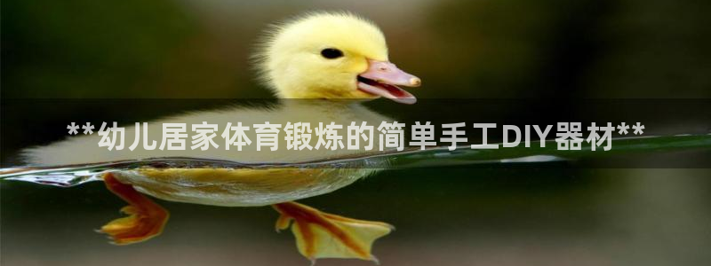 富联展示中心：**幼儿居家体育锻炼的简单手工DIY器材**