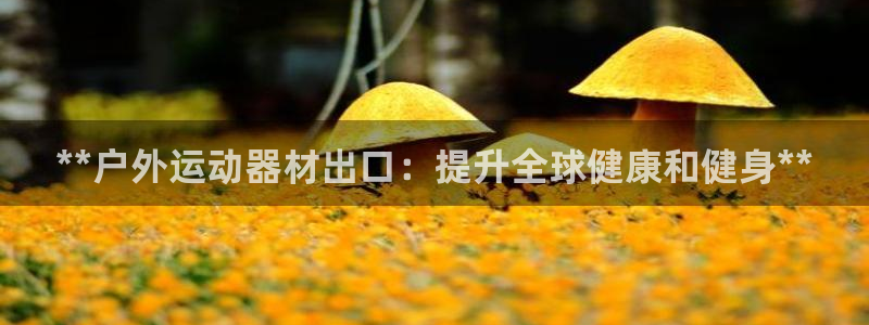 富联平台登录注册：**户外运动器材出口：提升全球健康