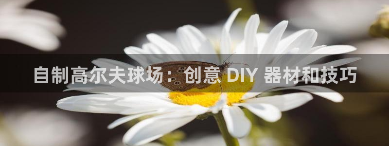 富联官方网站登录：自制高尔夫球场：创意 DIY 器材