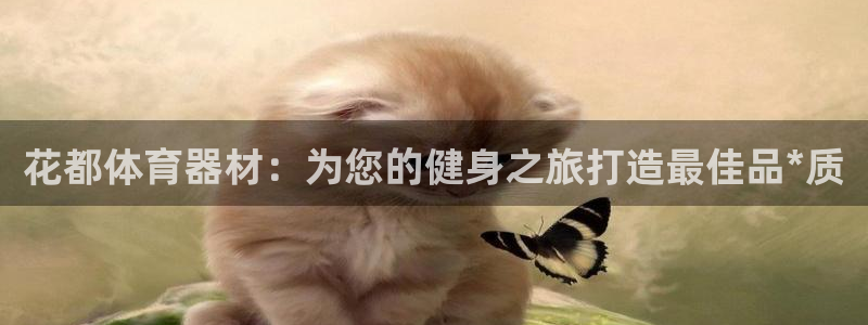 富联平台地址查询：花都体育器材：为您的健身之旅打造最