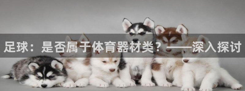 股票富联申购今天多少钱：足球：是否属于体育器材类？—
