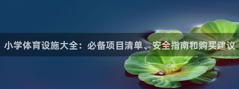 富联是什么软件：小学体育设施大全：必备项目清单、安全