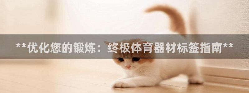 富联官方网站首页入口：**优化您的锻炼：终极体育器材