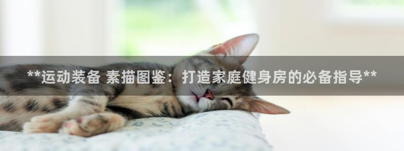 富联集团最新消息今天：**运动装备 素描图鉴：打造家