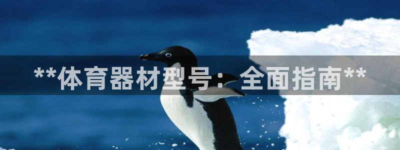 富联娱乐官方网站下载安装：**体育器材型号：全面指南