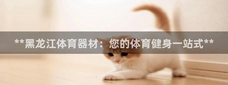 富联官方网站入口：**黑龙江体育器材：您的体育健身一站式**