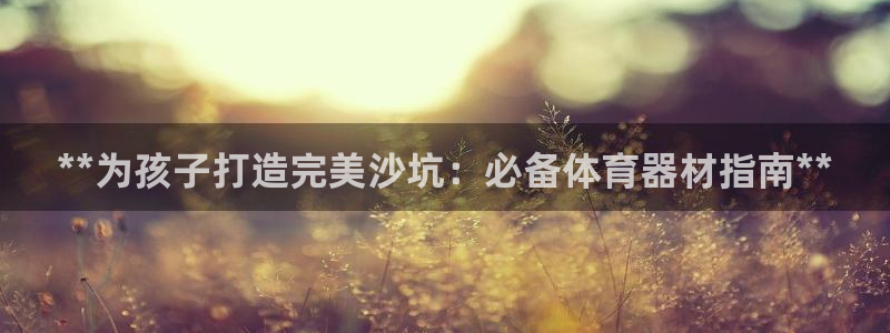 富联娱乐老板是谁：**为孩子打造完美沙坑：必备体育器材指南*