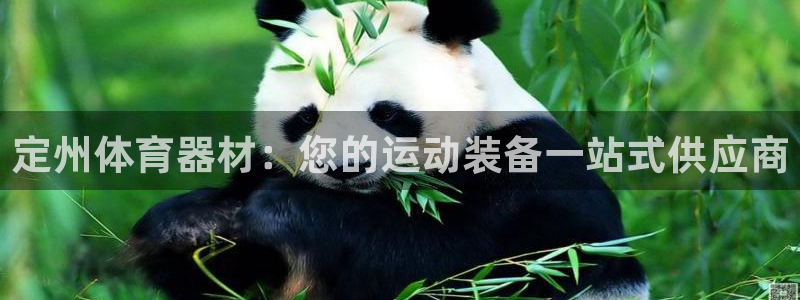 富联平台安装app：定州体育器材：您的运动装备一站式