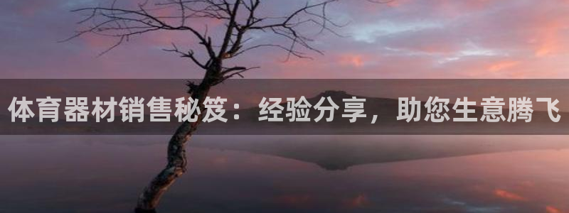 富联娱乐戚少风：体育器材销售秘笈：经验分享，助您生意腾飞
