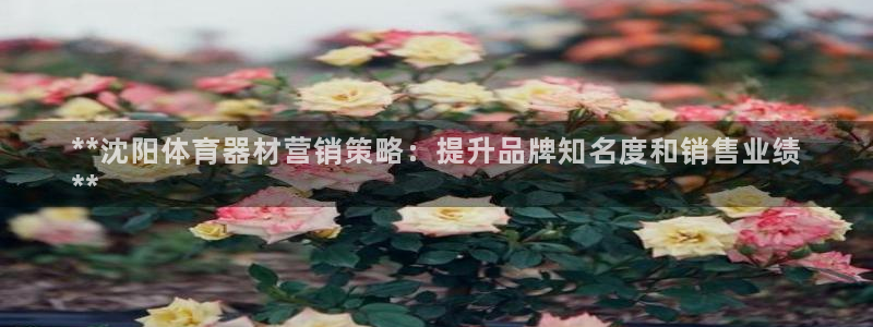 富联娱乐护7O777：**沈阳体育器材营销策略：提升