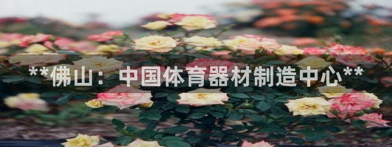 富联平台靠 5o69I7：**佛山：中国体育器材制造