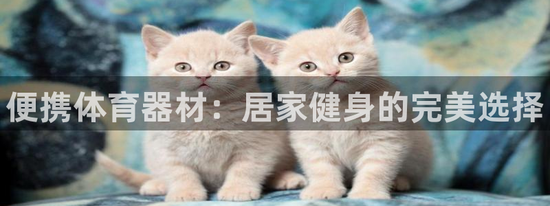 富联平台代理注册要钱吗：便携体育器材：居家健身的完美