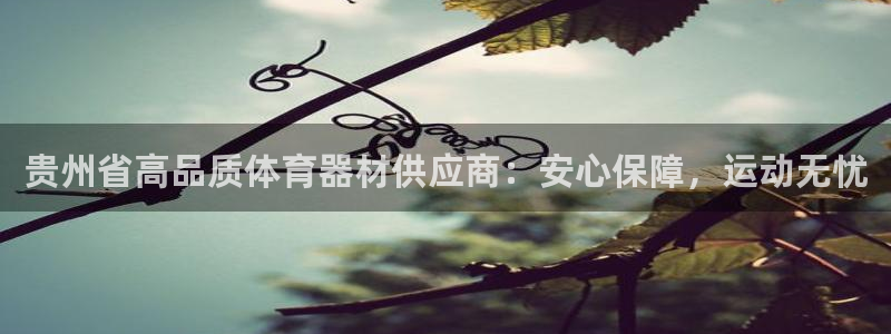富联娱乐服务站：贵州省高品质体育器材供应商：安心保障