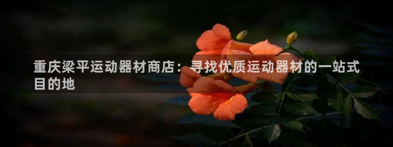 富联申购是什么股票：重庆梁平运动器材商店：寻找优质运